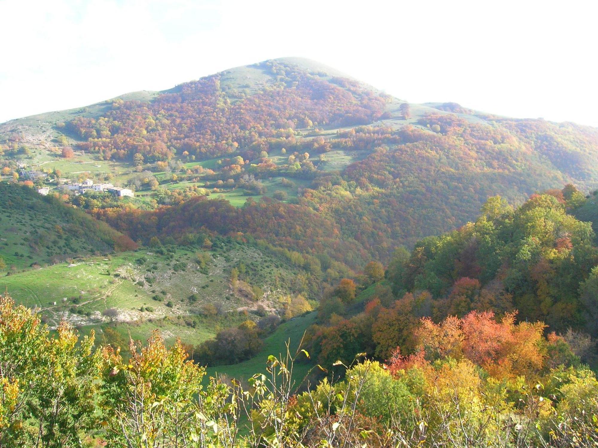 Agriturismo Pettino Campello sul Clitunno Esterno foto